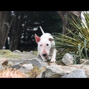 Meet your Posher, Alejandro